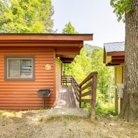 Lazy Bear Cabin Near Nantahala Outdoor Center And 브라이슨시티 외부 사진