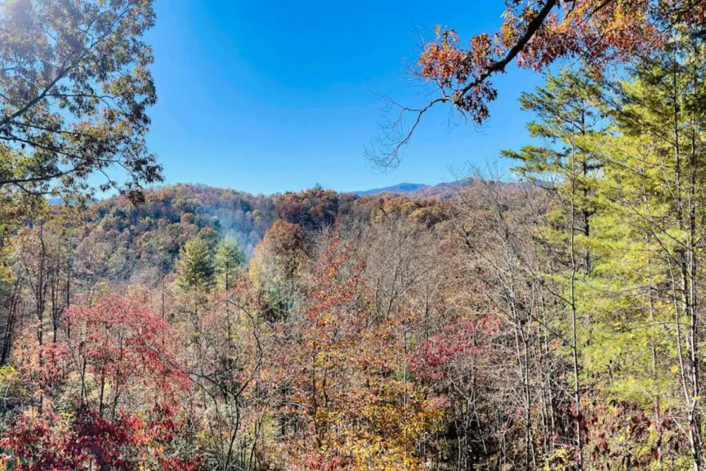 Lazy Bear Cabin Near Nantahala Outdoor Center And 브라이슨시티 외부 사진