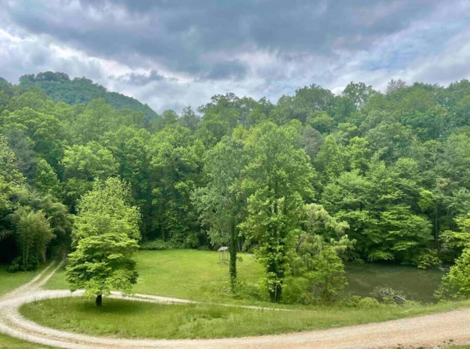Lazy Bear Cabin Near Nantahala Outdoor Center And 브라이슨시티 외부 사진