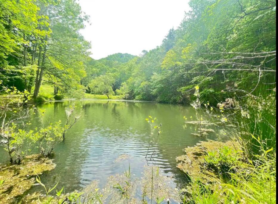 Lazy Bear Cabin Near Nantahala Outdoor Center And 브라이슨시티 외부 사진