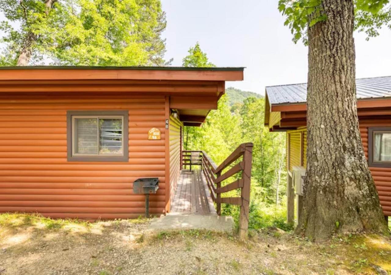 Lazy Bear Cabin Near Nantahala Outdoor Center And 브라이슨시티 외부 사진